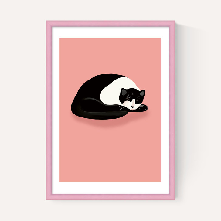 Cat Nap