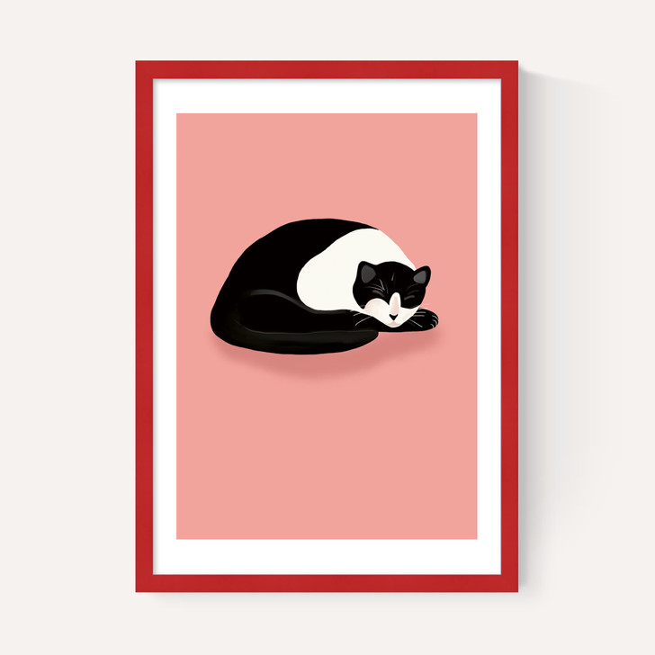 Cat Nap