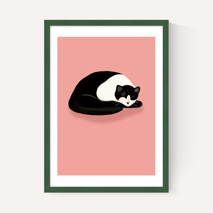 Cat Nap