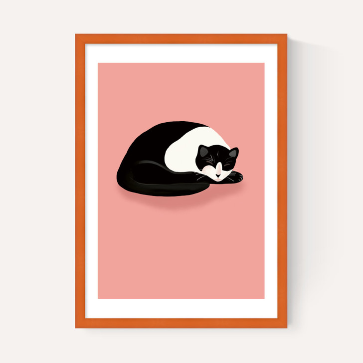 Cat Nap