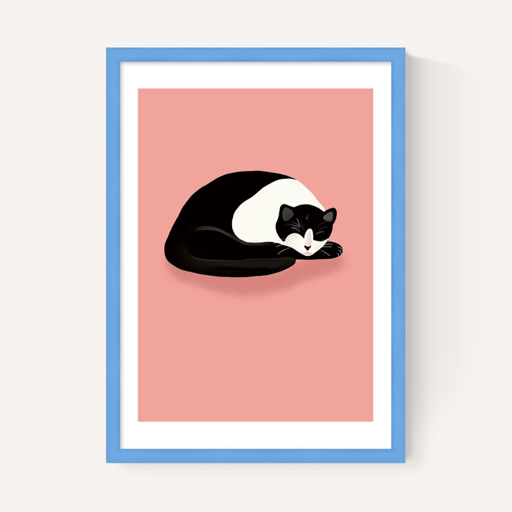 Cat Nap