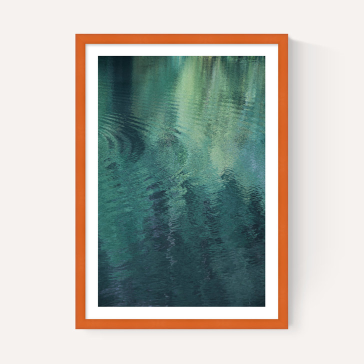 Forest in the Lake