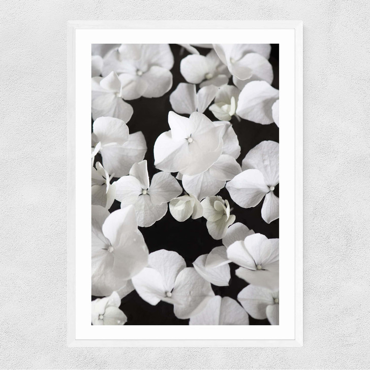 White beauty on White Narrow White Frame White beauty on White Narrow White Frame