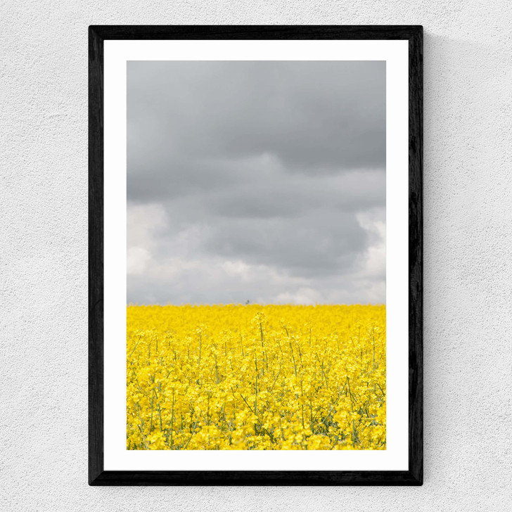Grey and Yellow Fields Medium Black Frame