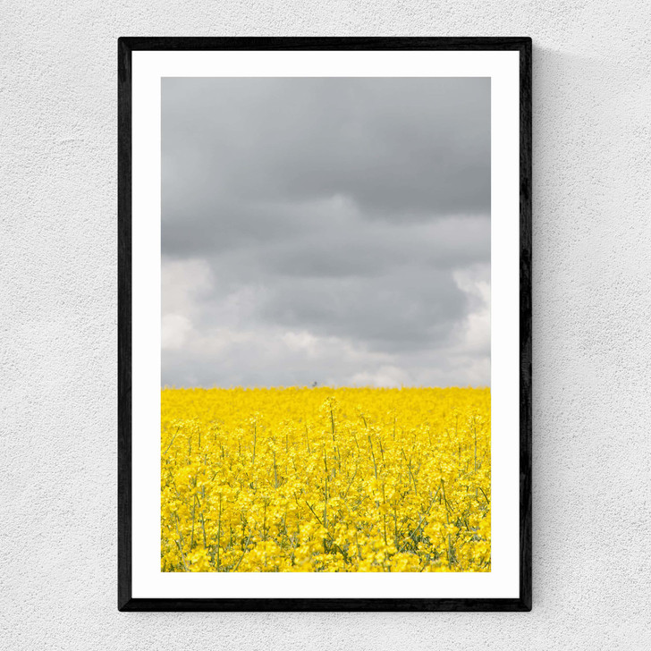 Grey and Yellow Fields Narrow Black Frame