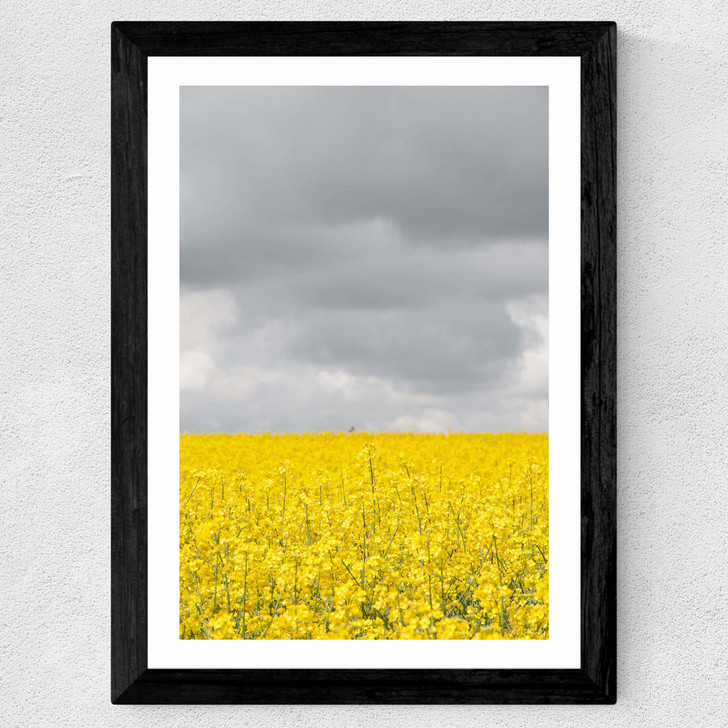 Grey and Yellow Fields Wide Black Frame