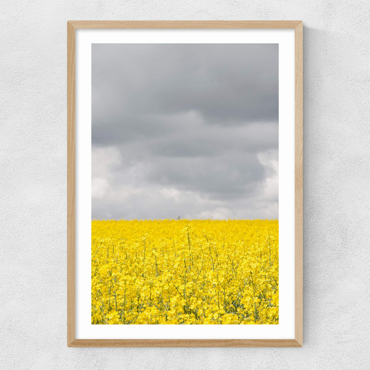 Grey and Yellow Fields Narrow Oak Frame