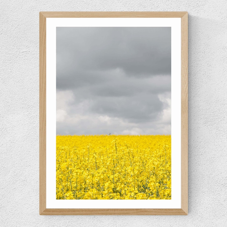 Grey and Yellow Fields Medium Oak Frame