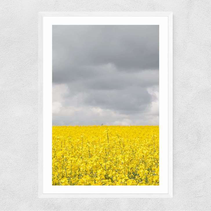 Grey and Yellow Fields Narrow White Frame