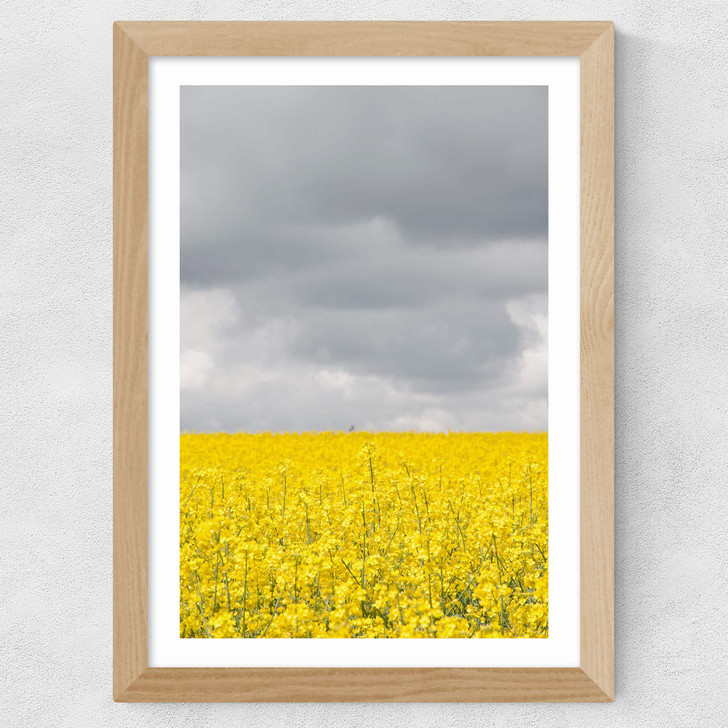 Grey and Yellow Fields Wide Oak Frame