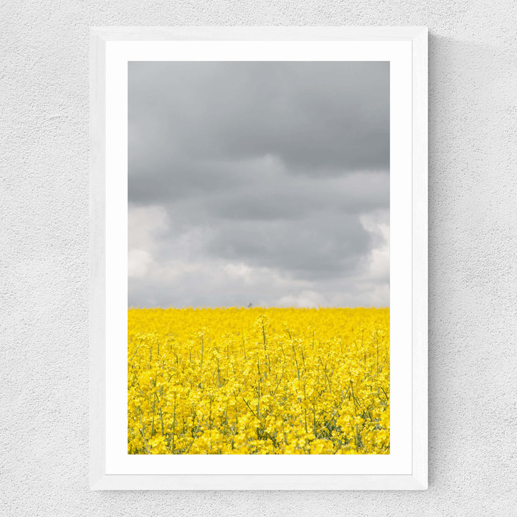 Grey and Yellow Fields Medium White Frame