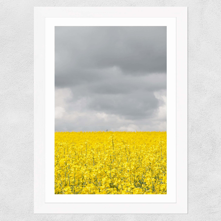 Grey and Yellow Fields Wide White Frame