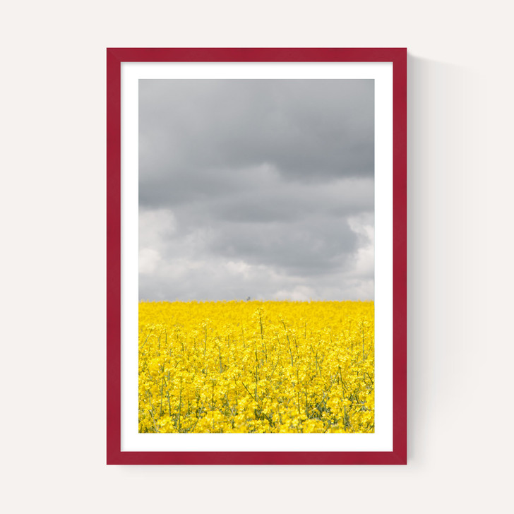 Grey and Yellow Fields