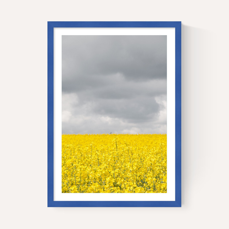 Grey and Yellow Fields