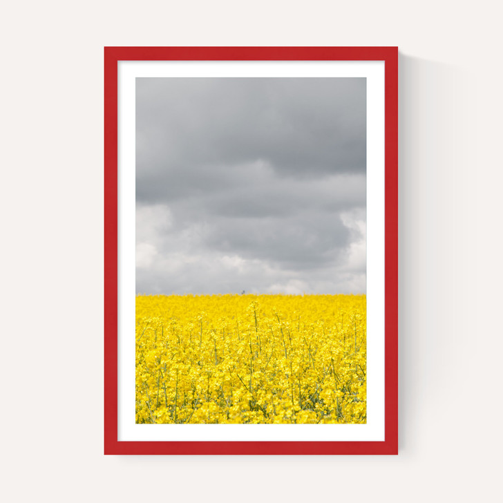 Grey and Yellow Fields