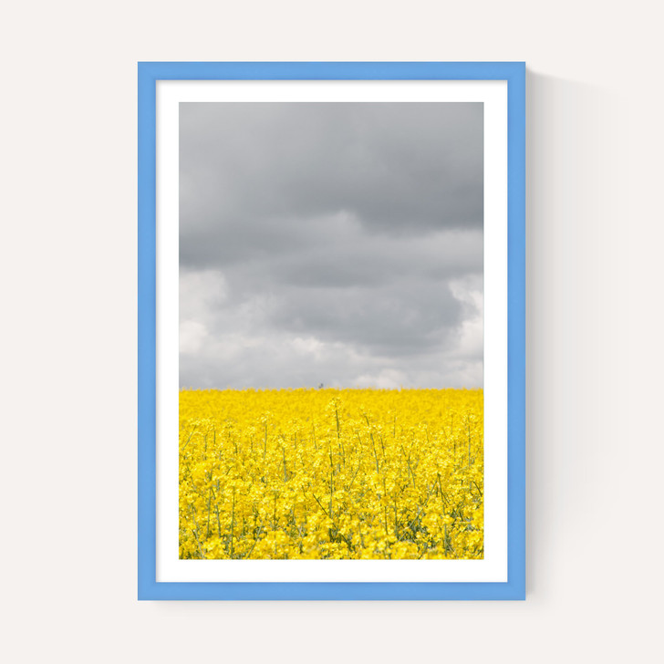 Grey and Yellow Fields