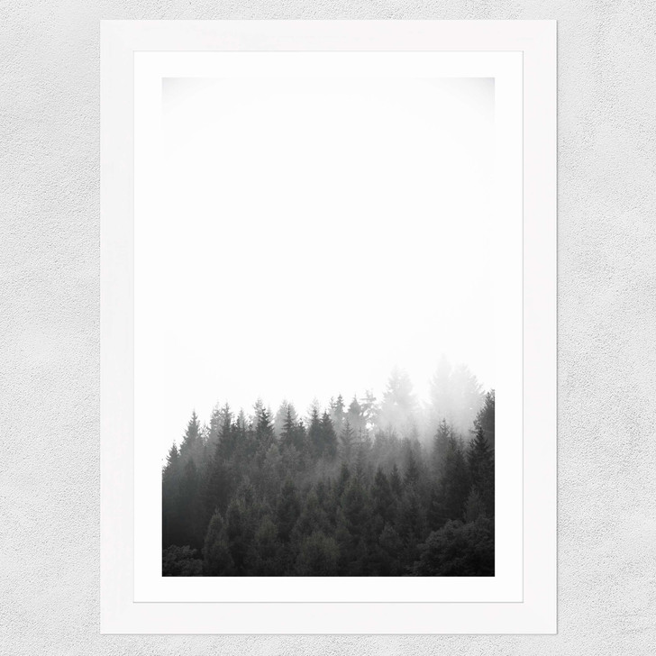 Walk Through the Forest Wide White Frame Walk Through the Forest Wide White Frame