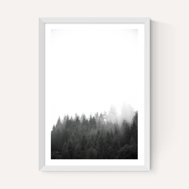 Walk Through the Forest