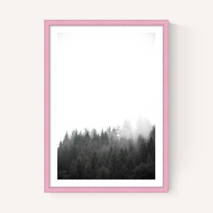 Walk Through the Forest