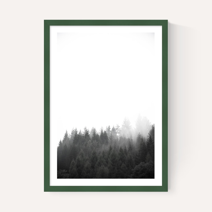 Walk Through the Forest