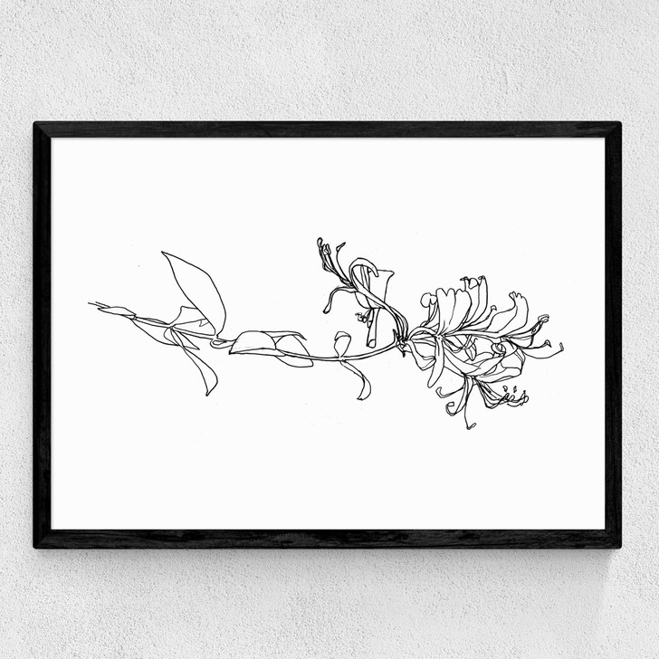 Honeysuckle Medium Black Frame Honeysuckle Medium Black Frame