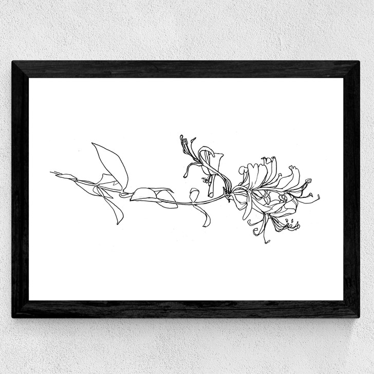 Honeysuckle Wide Black Frame Honeysuckle Wide Black Frame