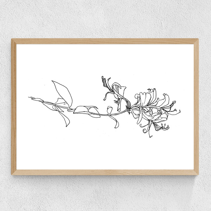 Honeysuckle Medium Oak Frame Honeysuckle Medium Oak Frame