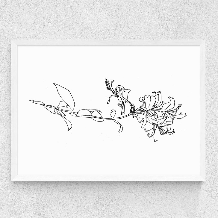 Honeysuckle Medium White Frame Honeysuckle Medium White Frame