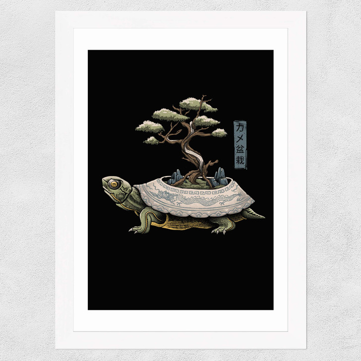 The Legendary Kame Wide White Frame The Legendary Kame Wide White Frame