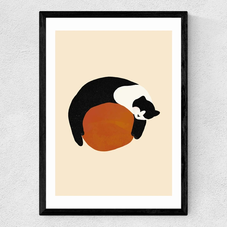 Sleeping Cat