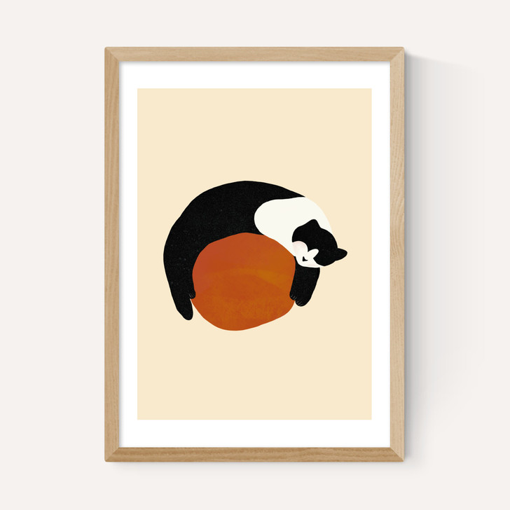 Sleeping Cat