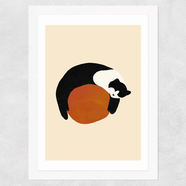 Sleeping Cat