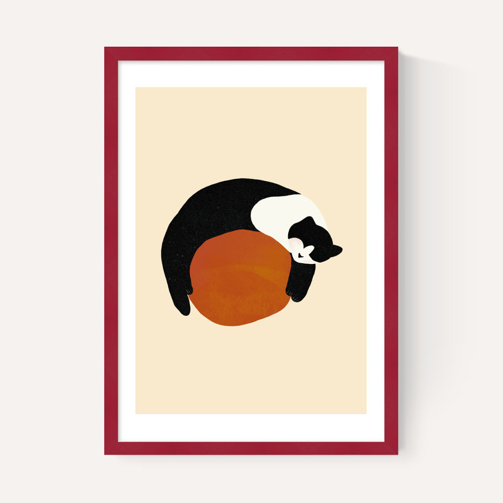 Sleeping Cat