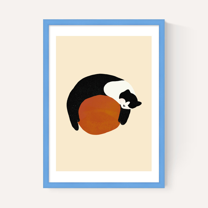Sleeping Cat