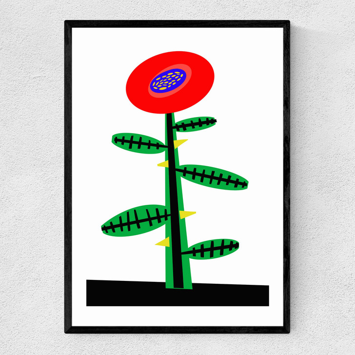 Rosy Red Narrow Black Frame Rosy Red Narrow Black Frame