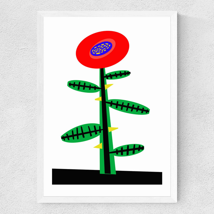 Rosy Red Medium White Frame Rosy Red Medium White Frame