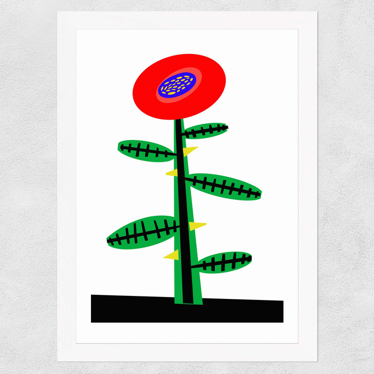 Rosy Red Wide White Frame Rosy Red Wide White Frame