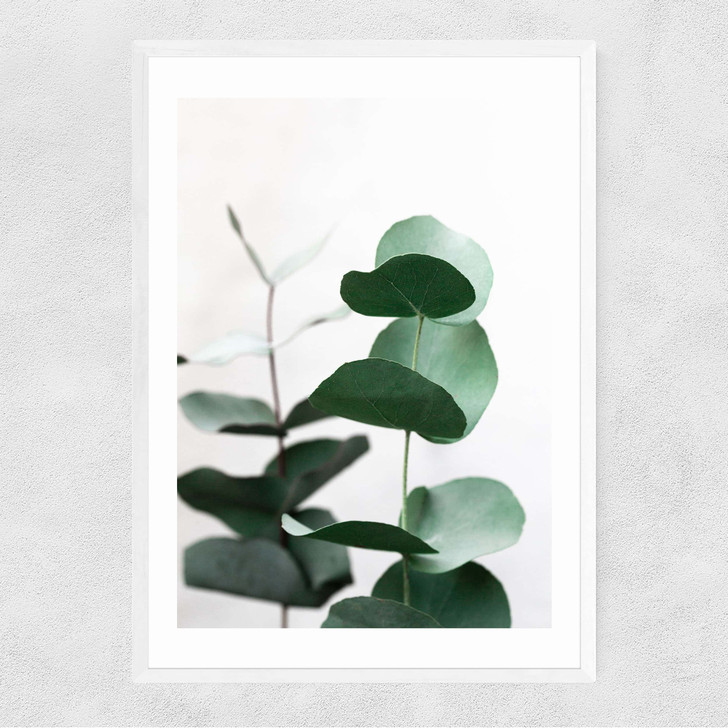 Eucalyptus 5 Narrow White Frame