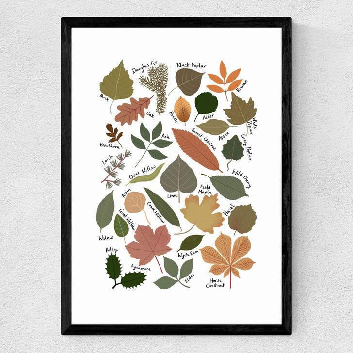 Leaf Chart Medium Black Frame