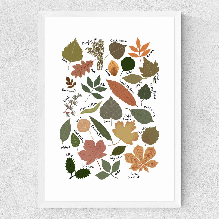 Leaf Chart Medium White Frame
