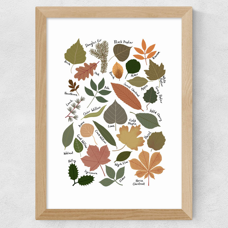 Leaf Chart Wide Oak Frame