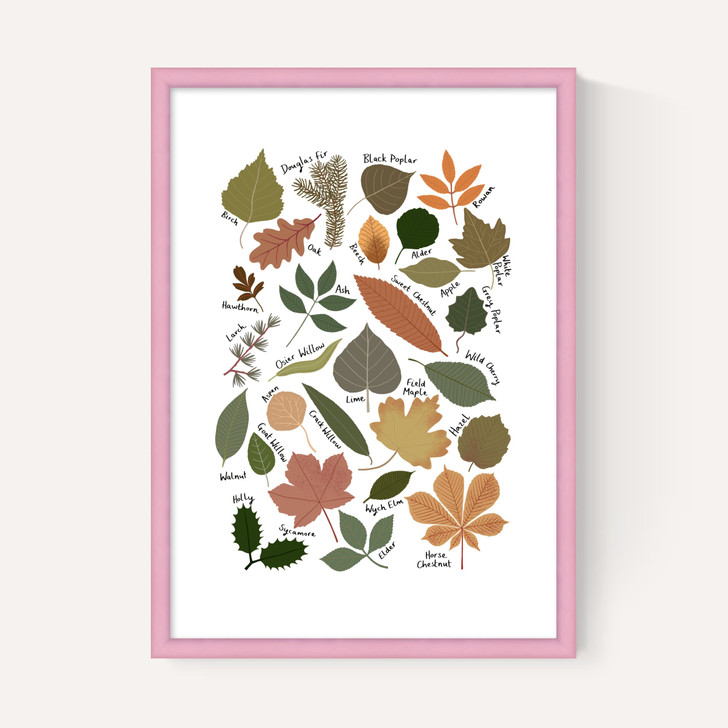 Leaf Chart