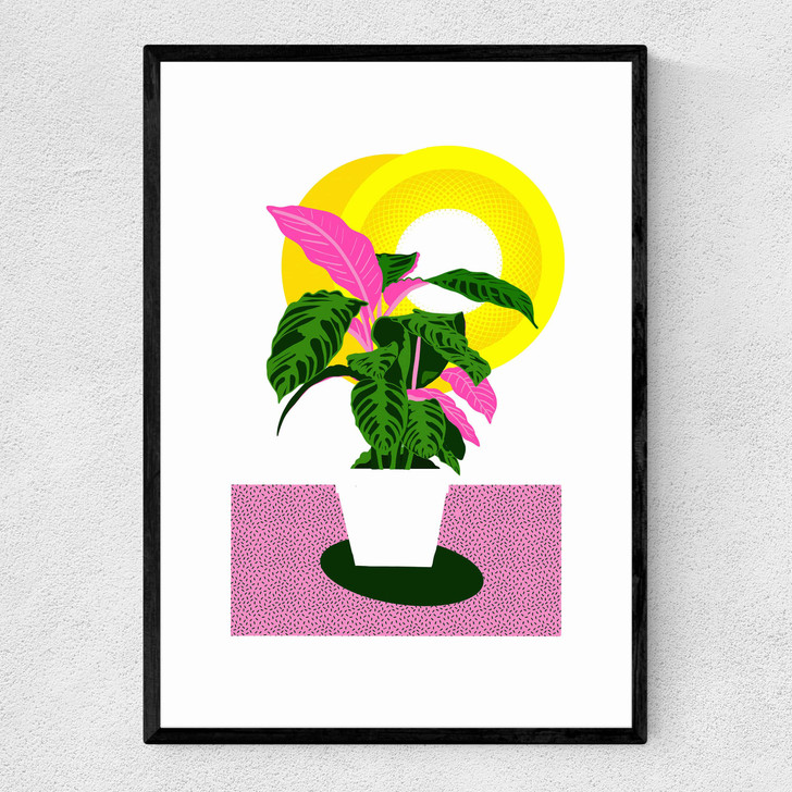 Grow Narrow Black Frame Grow Narrow Black Frame