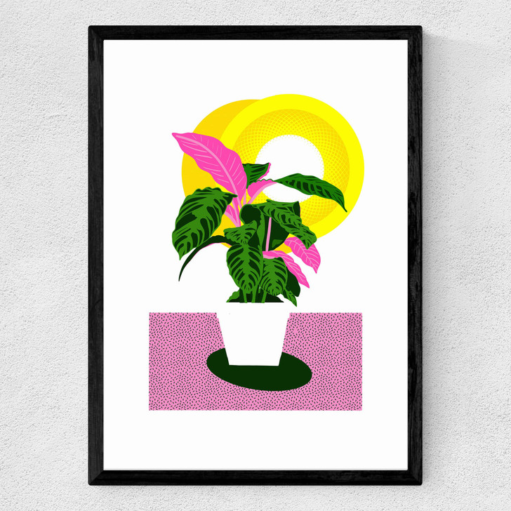 Grow Medium Black Frame Grow Medium Black Frame