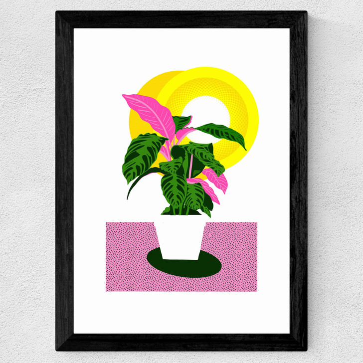 Grow Wide Black Frame Grow Wide Black Frame