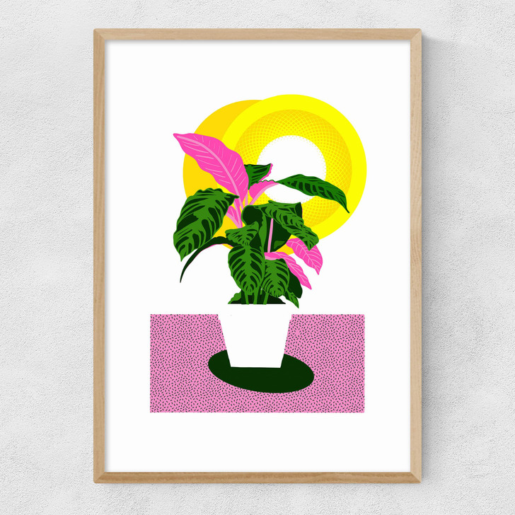 Grow Narrow Oak Frame Grow Narrow Oak Frame