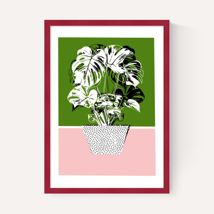 Plant Life
