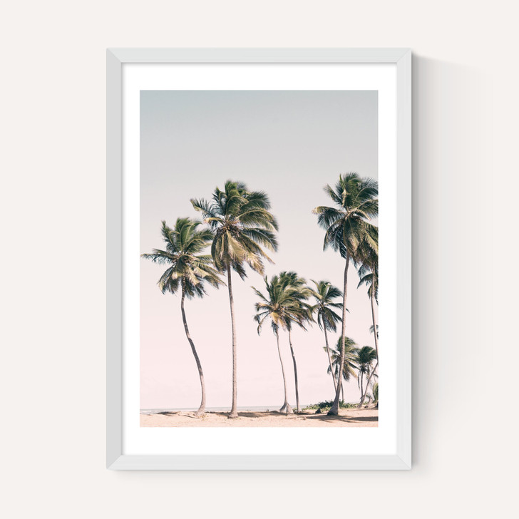 Island Dreams
