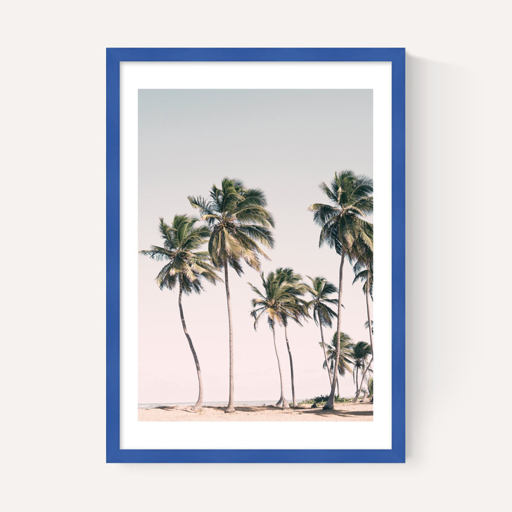 Island Dreams