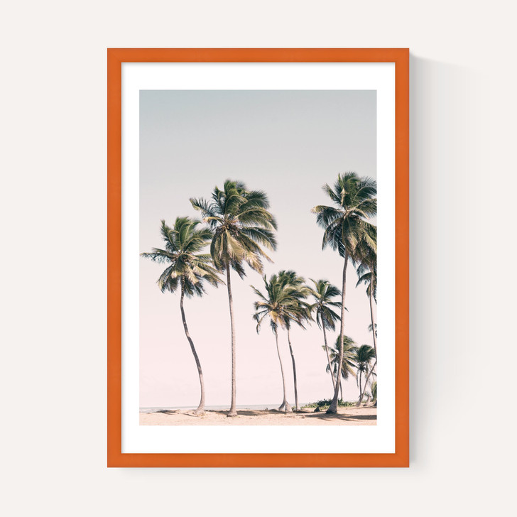 Island Dreams